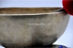 13-Inch Handmade Head Therapy Tibetan Singing Bowl – Dim Finish with Mallet, Cushion & Drum Stick